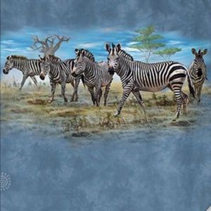 Meet your Posher, Olivier